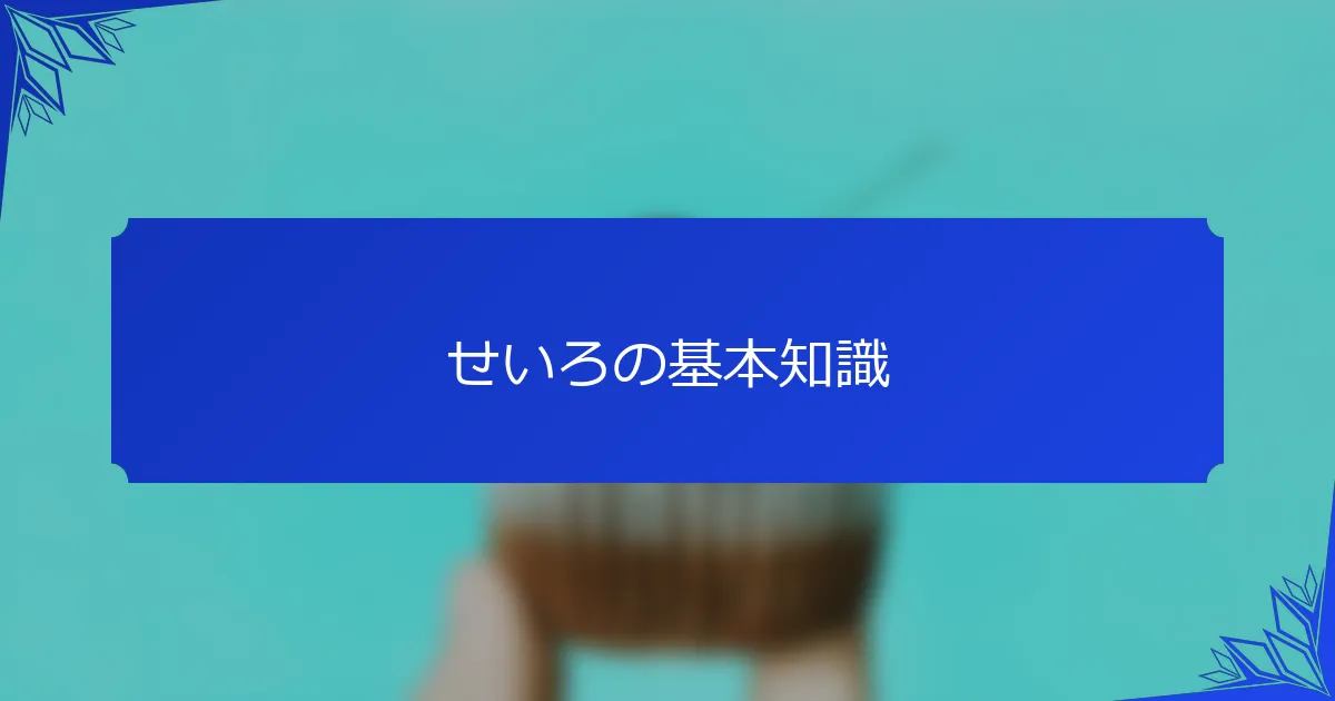 せいろの基本知識
